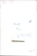 Japanese street musician - Vintage Photograph