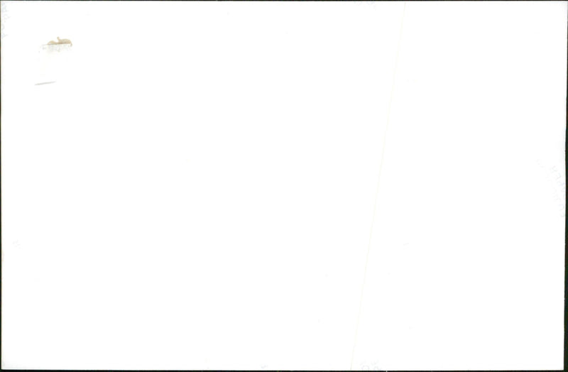 Landscape in Tibet - Vintage Photograph