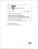 1996 TELEPHONE SWEDEN PICA RESPONSIBLE IMAGE DELIVERY BLFS - Vintage Photograph