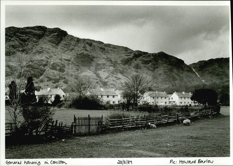 Coniston housing. - Vintage Photograph