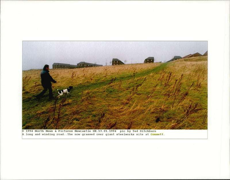 A man walking in the field with his dog. - Vintage Photograph