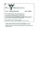 Göran Persson and his wife Annika at the award of the Nobel Prize in the Concert Hall. - Vintage Photograph