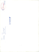 Tina Turner - Vintage Photograph