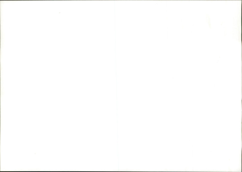 JAPANESE WAR PRISONERS - Vintage Photograph