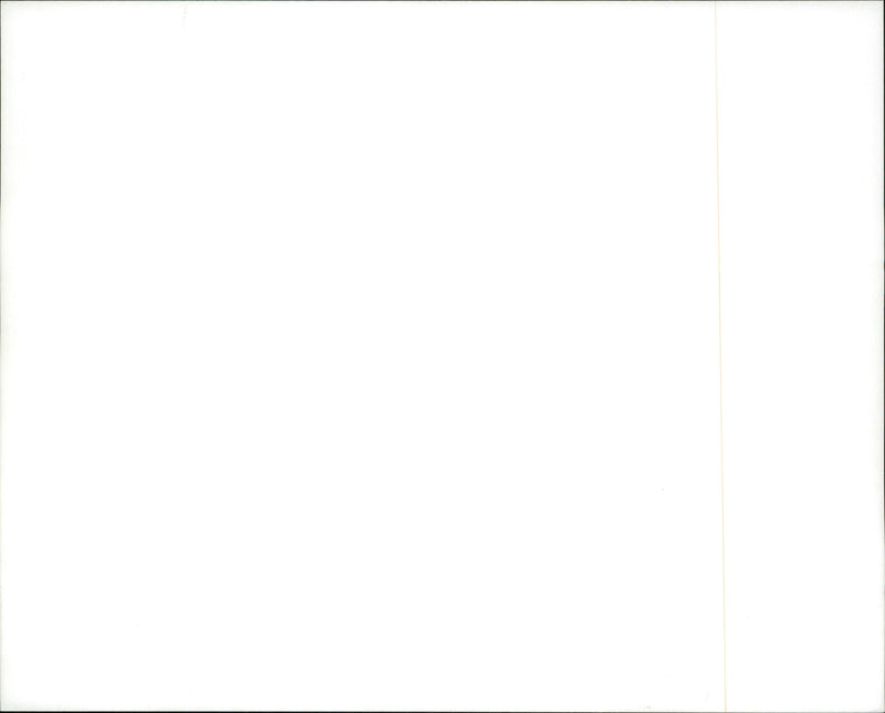 A view of children in the Iron Maiden Concert. - Vintage Photograph