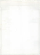 Secret Helmet air spy - Vintage Photograph