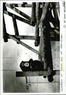 Dudley Zoo - Vintage Photograph