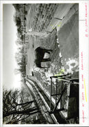 Dudley Zoo - Vintage Photograph