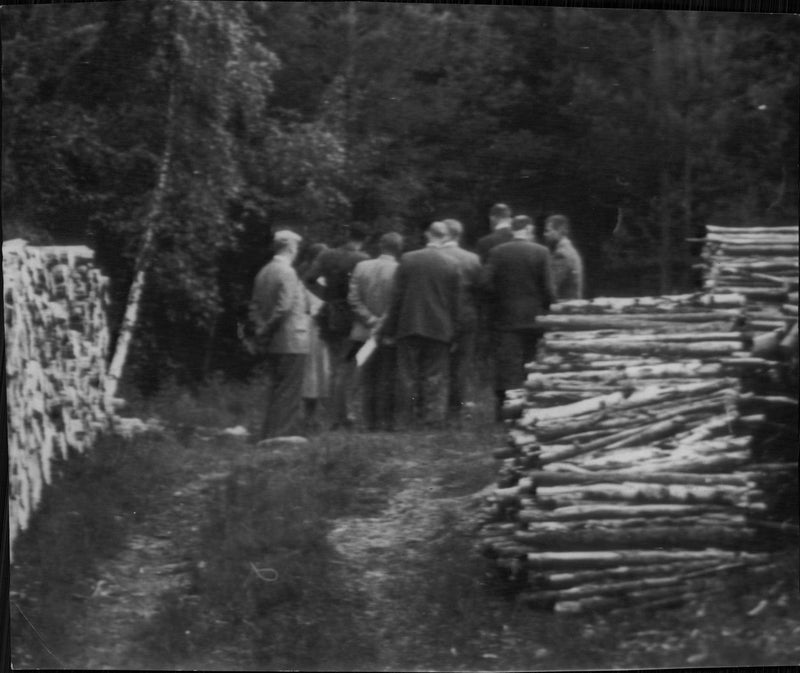 The assassination commission gathered immediately at the timber roads where the murdered woman was found - Vintage Photograph