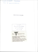 Writer Inger BrattstrÃ¶m together with Astrid Lindgren - Vintage Photograph