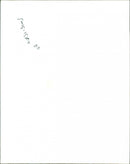 Monkeys - Vintage Photograph