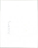 Monkeys - Vintage Photograph