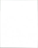 vervet monkey - Vintage Photograph