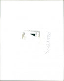 monkey and apes - Vintage Photograph