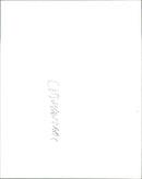 Chimpanzees - Vintage Photograph