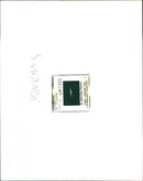 Monkey - Vintage Photograph