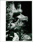 The crab-eating macaque - Vintage Photograph