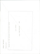 Pigs on a farm in Poland - Vintage Photograph