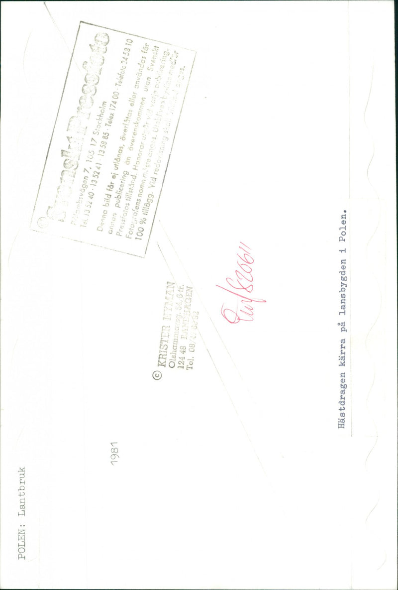 Ridning på landsbygden i Polen - Vintage Photograph