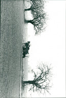 Ridning på landsbygden i Polen - Vintage Photograph