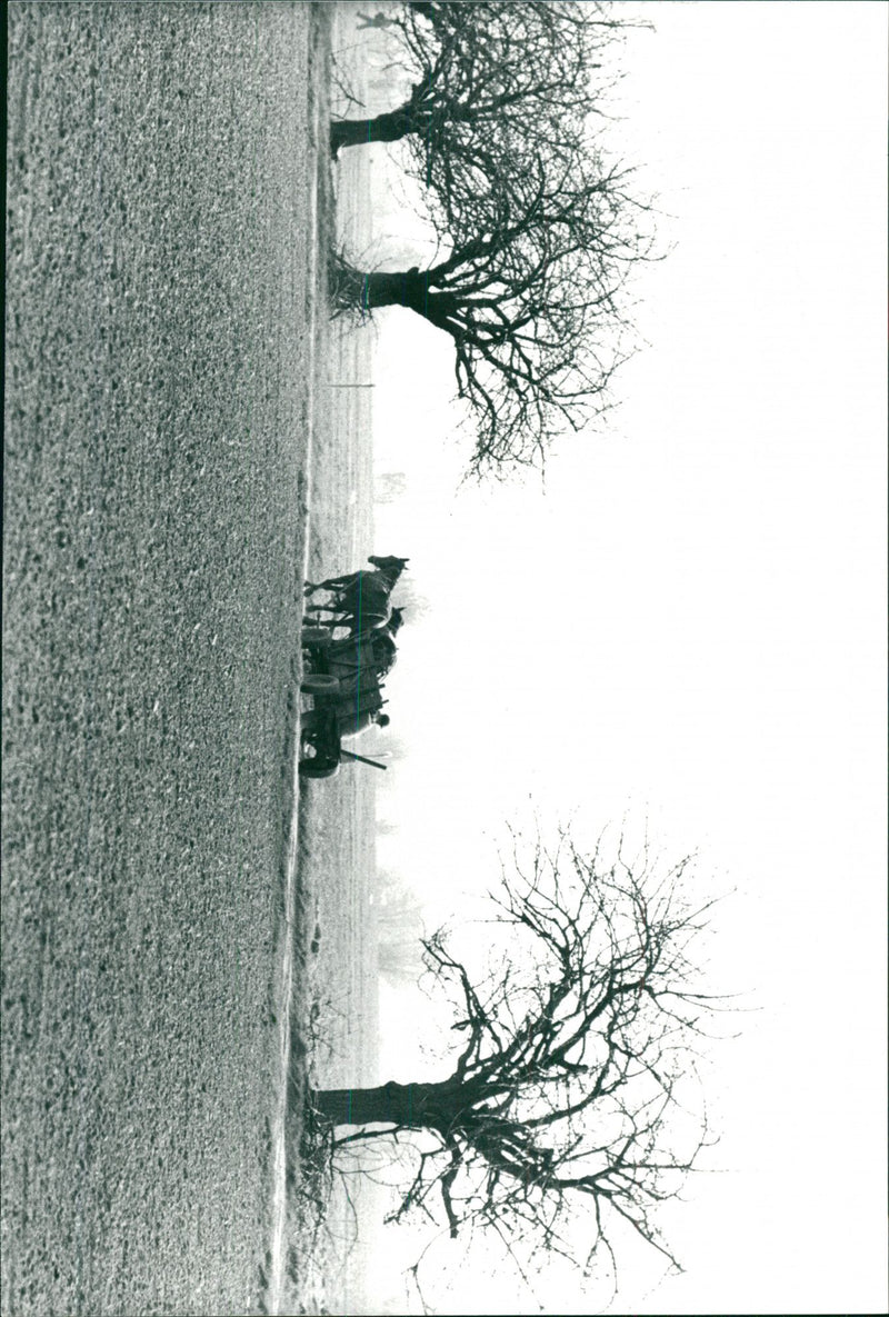 Ridning på landsbygden i Polen - Vintage Photograph