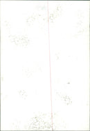 Swedish expedition at the end of the war - 2 May 1945 - Vintage Photograph