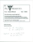 Picture from Sweden Hockey Games - Vintage Photograph