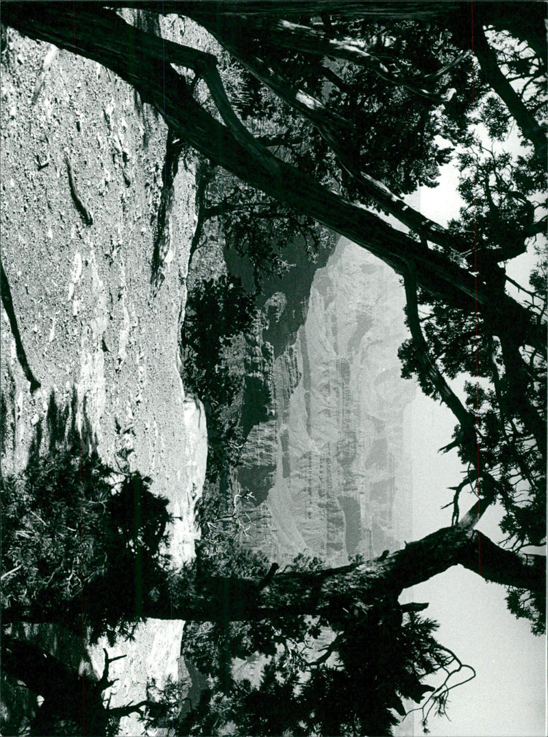 Grand Canyon - Vintage Photograph