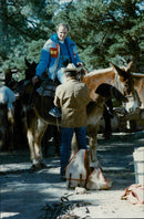 Grand Canyon - Vintage Photograph