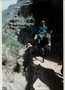 Grand Canyon - Vintage Photograph