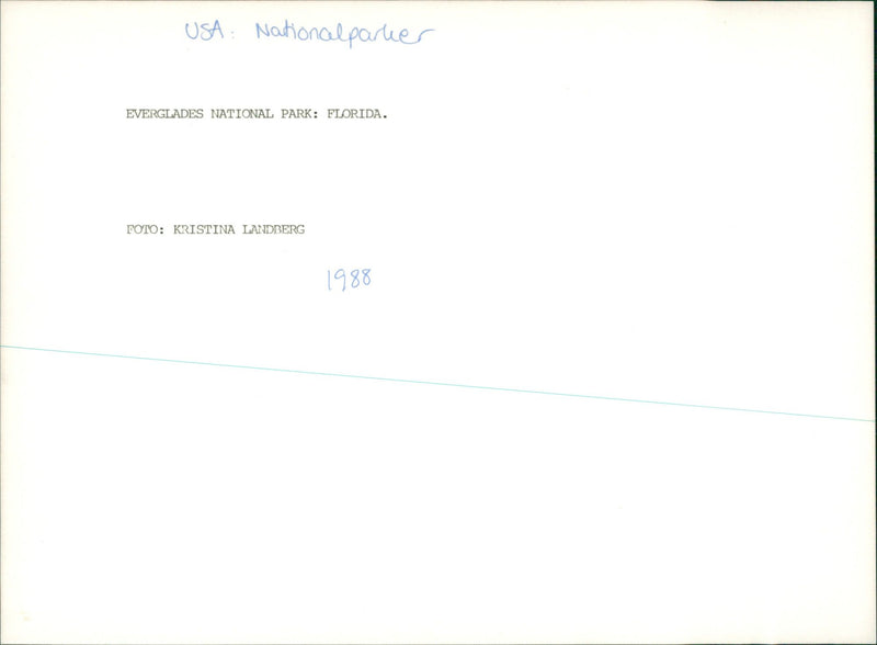 Everglades National Park - Vintage Photograph