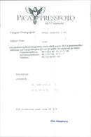 Bulgaria, agriculture. A cow on a meadow - Vintage Photograph