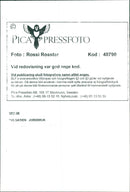 Bulgaria Agriculture. A cow on a meadow during hay harvest - Vintage Photograph