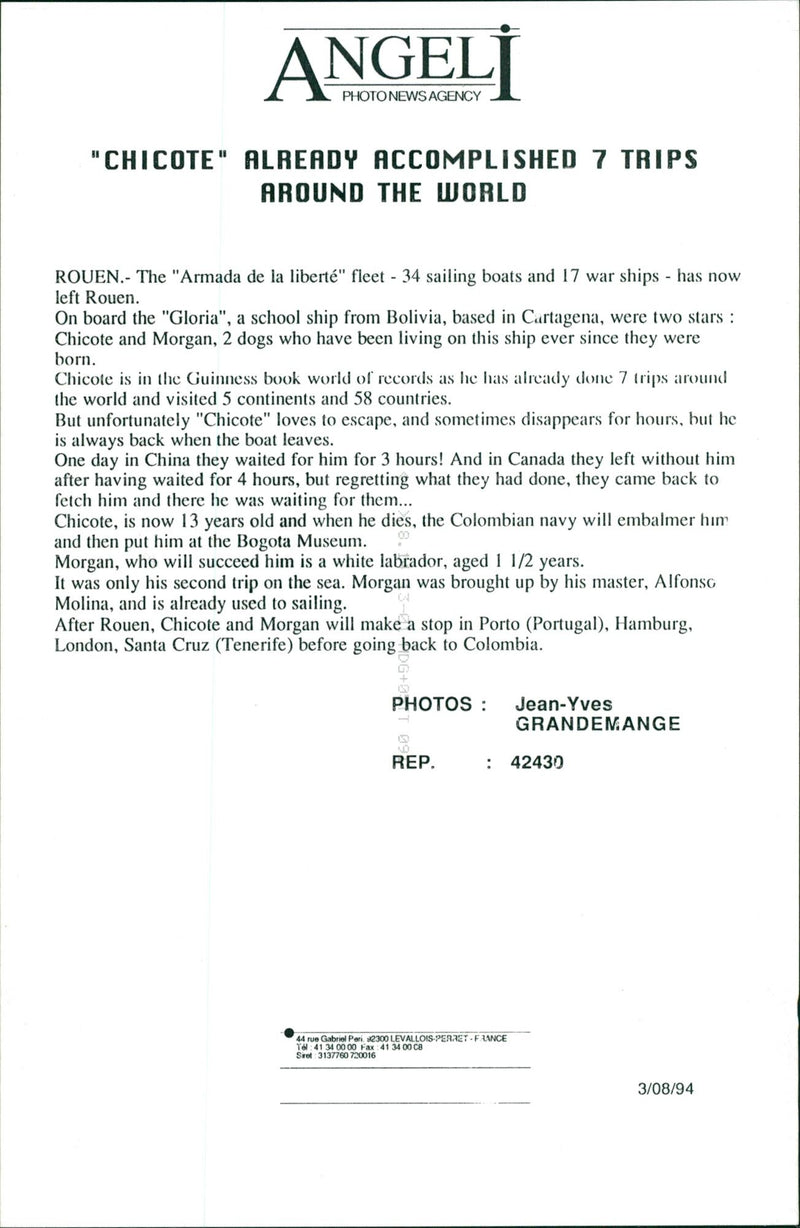 One of the two dogs who lived aboard a Colombian ship. - Vintage Photograph