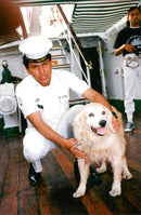 One of the two dogs who lived aboard a Colombian ship. - Vintage Photograph