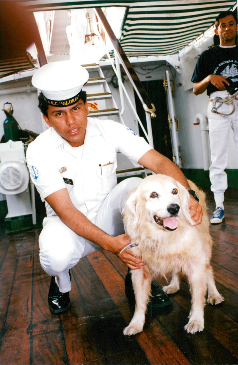 One of the two dogs who lived aboard a Colombian ship. - Vintage Photograph