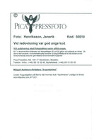 Majgull Axelsson at the August Gala in Bern where her book &quot;April Witch&quot; was named the fictional book of the year. - Vintage Photograph