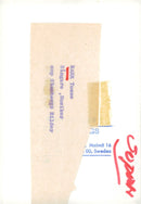 The singer and musician Tosse Bark - Vintage Photograph