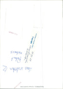 Volley-ball. Hans Wiksten and Robert Malnacs - Vintage Photograph