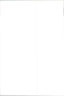 Adriana Samuel Ramos (Brazil) smashes during the match against the United States - Vintage Photograph