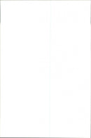 The suspect shooters in the school shift at Jonesboro School. Mitchell Johnson and Andrew Golden - Vintage Photograph