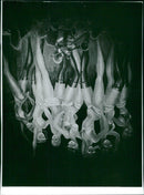 Picture from the musical &quot;Chicago&quot; - Vintage Photograph