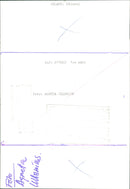 Sheep breeding - Vintage Photograph