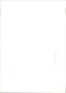 The Republican Sinn Fein burns an image of Prince Charles on O&