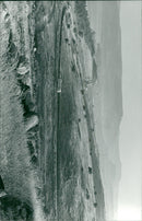Natural view of Galilee, natural landscape - Vintage Photograph