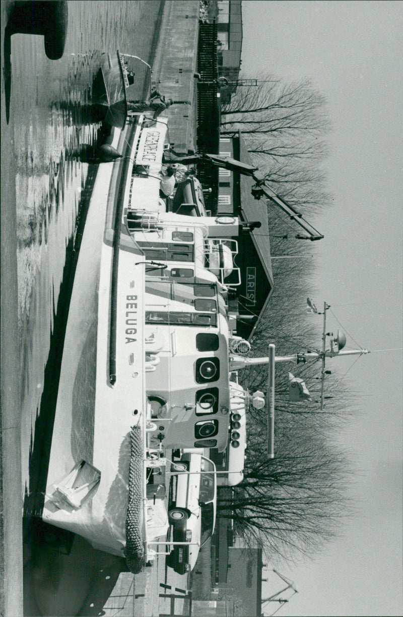 Greenpeace-båten Beluga - Vintage Photograph