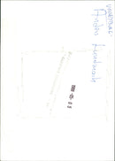 Anders Lundmark, volleyball player - Vintage Photograph