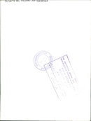 The body of the murdered Filippo Joe Imperiale - Vintage Photograph