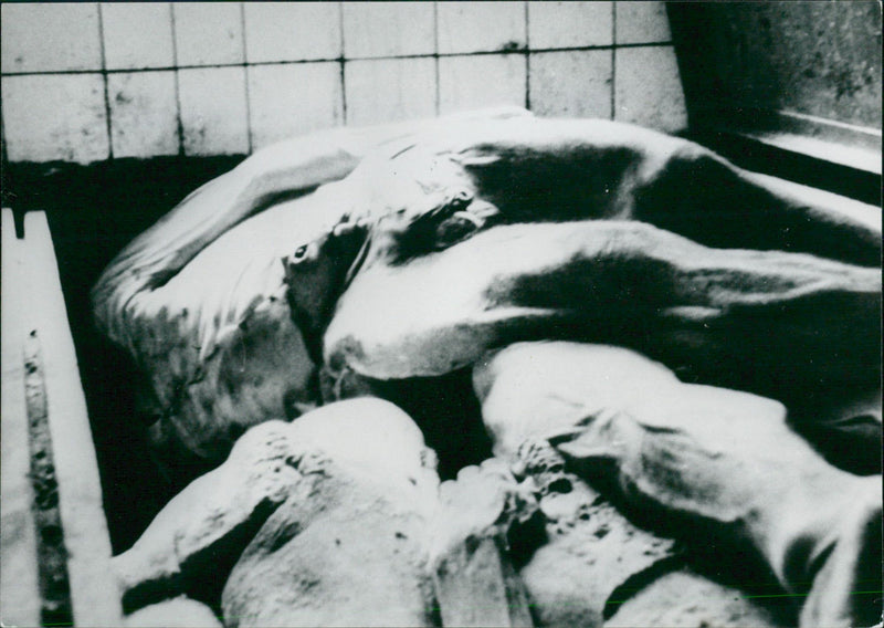 NACHMAN PONTONJARGAT CONCERT STHLM COP CROSSKIGER ZONABEND UPPG - Vintage Photograph