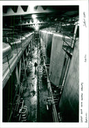 Breweries - Vintage Photograph